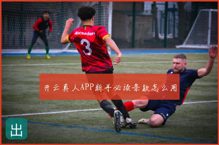 开云真人APP新手必读条款怎么用